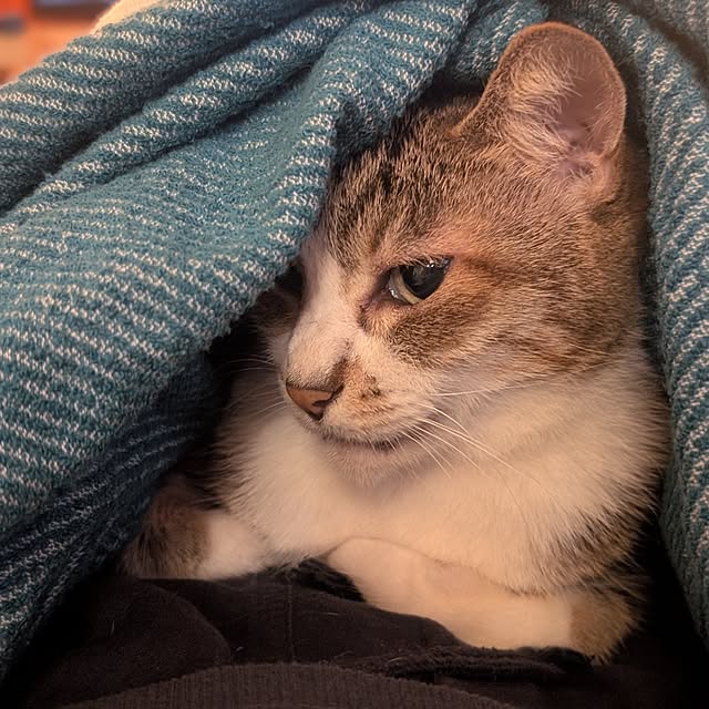 nanaさんの実例写真