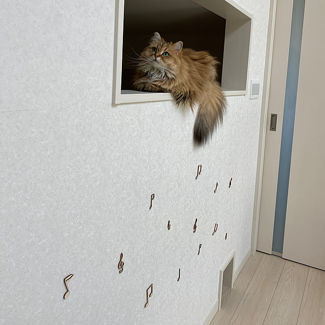 furitamaさんの実例写真
