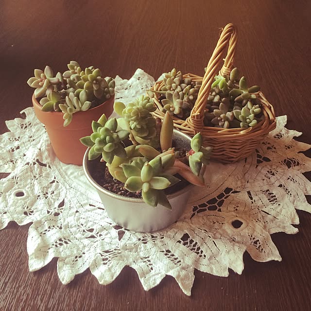 coraruさんの実例写真