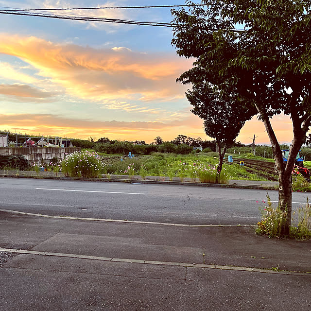 hanahana1444さんの実例写真