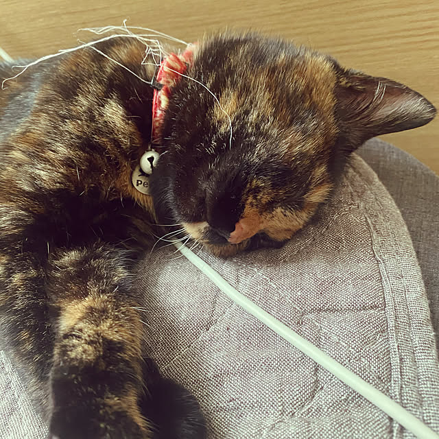 mさんの実例写真