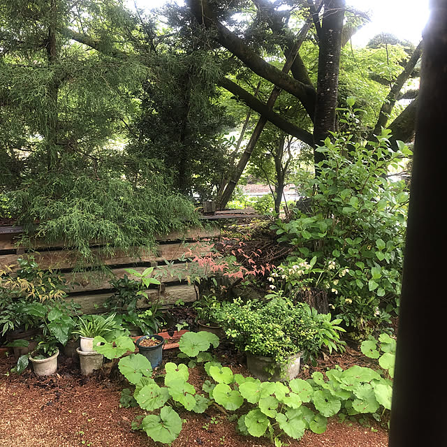 sakakenさんの実例写真