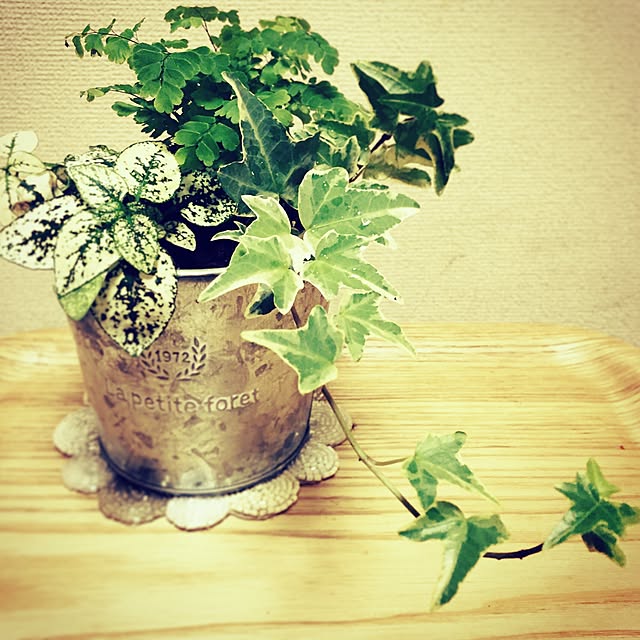 pearly_kayさんの実例写真
