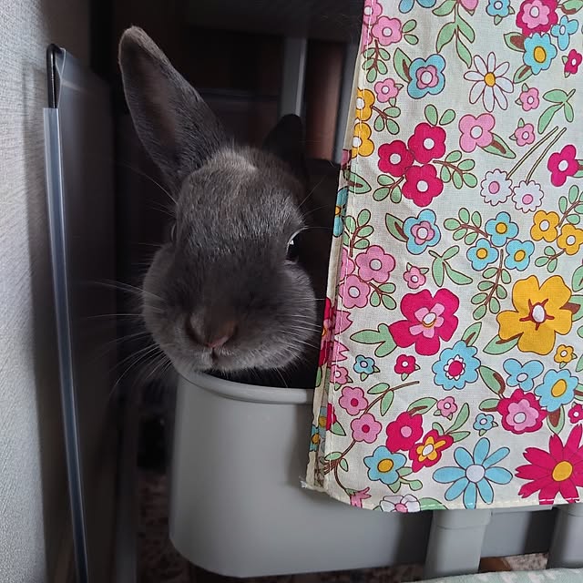 kirariさんの部屋