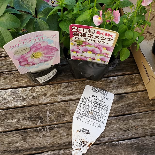 MARIE.color.interiorさんの部屋