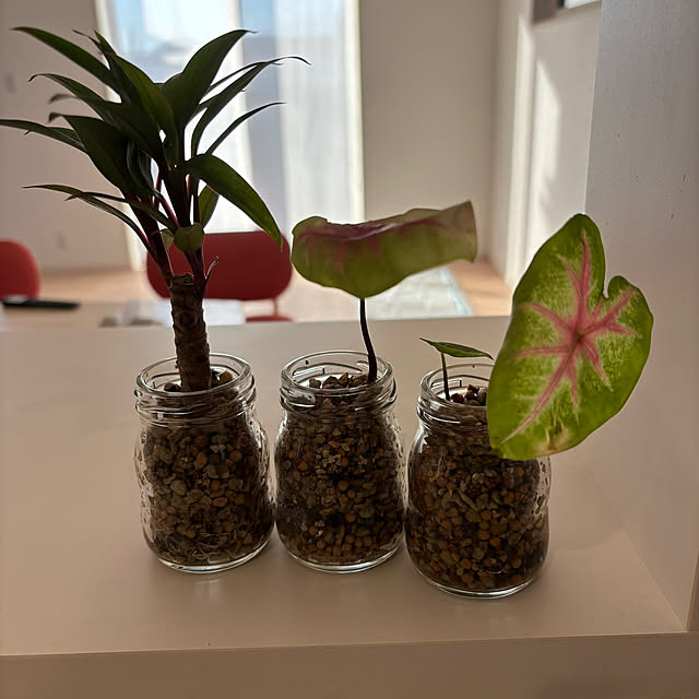 rumimamaさんの実例写真