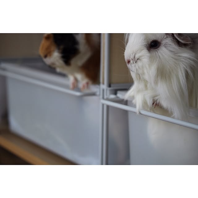 Atsushiさんの実例写真