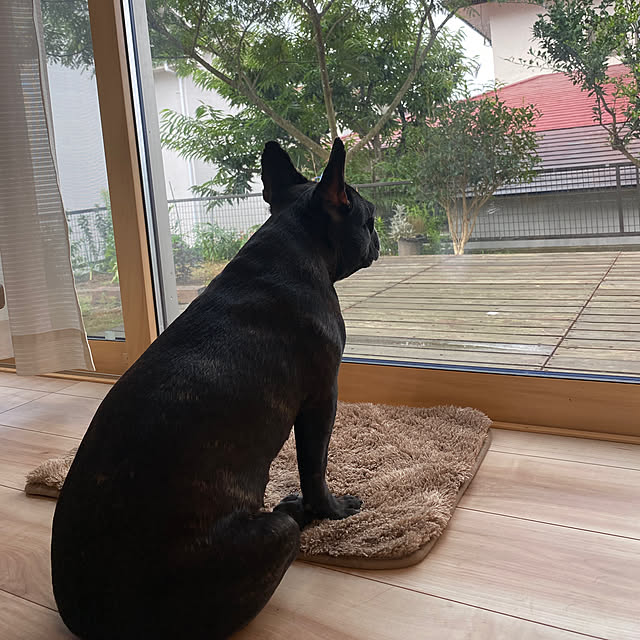 kotaroさんの実例写真
