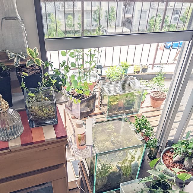 mi-saさんの部屋