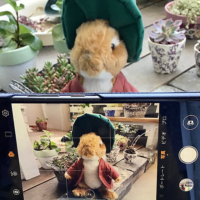 mionaさんの実例写真