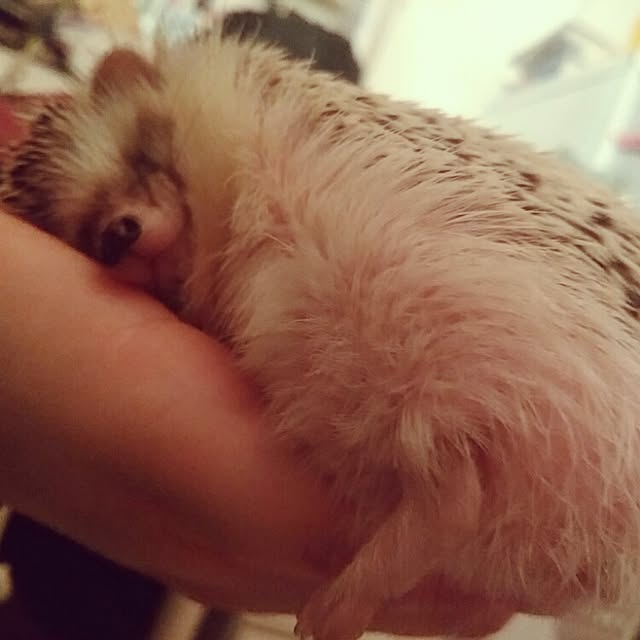 kuruさんの実例写真