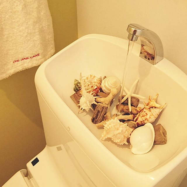 mapleさんの実例写真