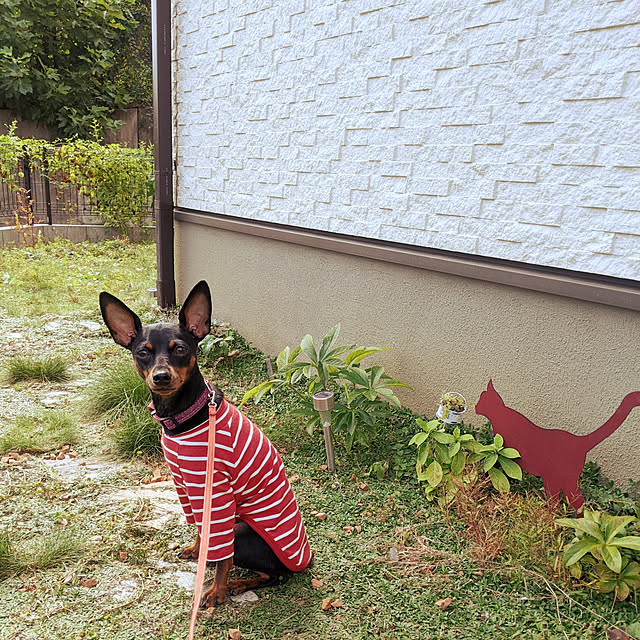 shizuponさんの実例写真
