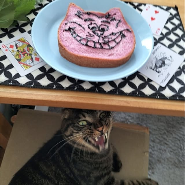 hihaさんの部屋