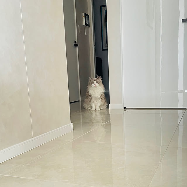 実例写真
