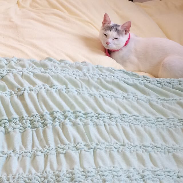 yzwkさんの実例写真