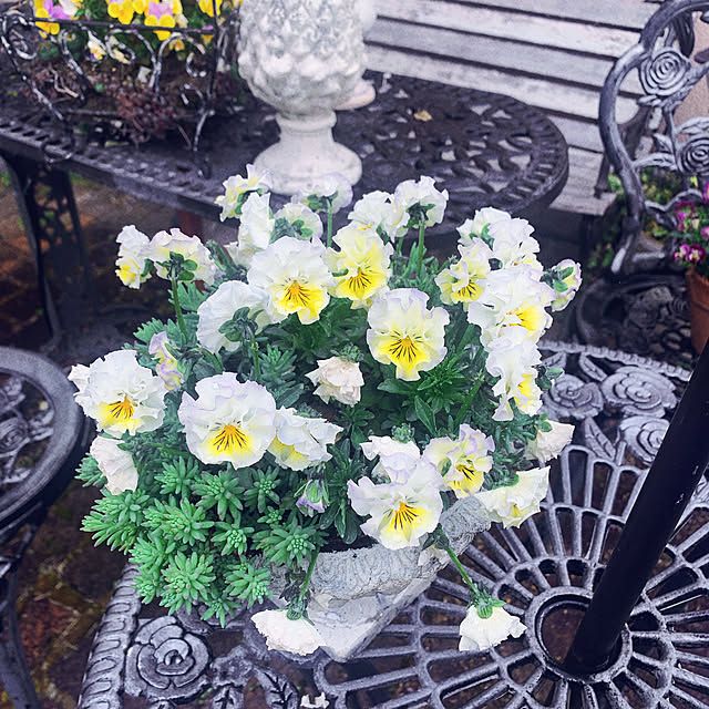 Momoさんの部屋