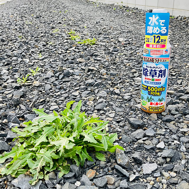 amyさんの実例写真
