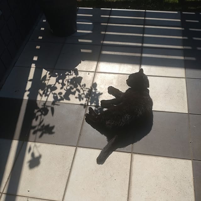 kuroさんの実例写真