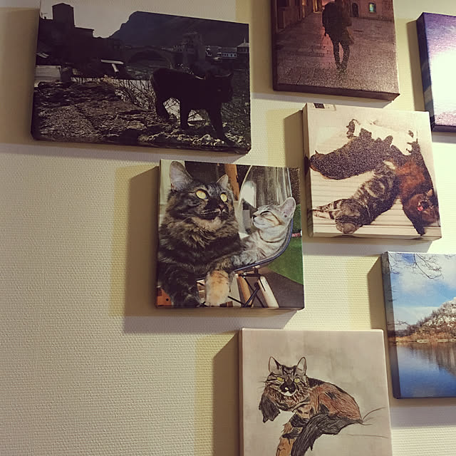 mikomaruさんの実例写真