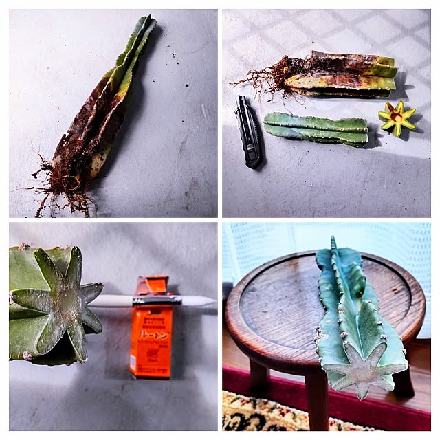 NSDさんの実例写真