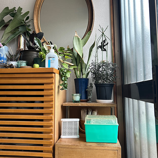 hahaさんの実例写真