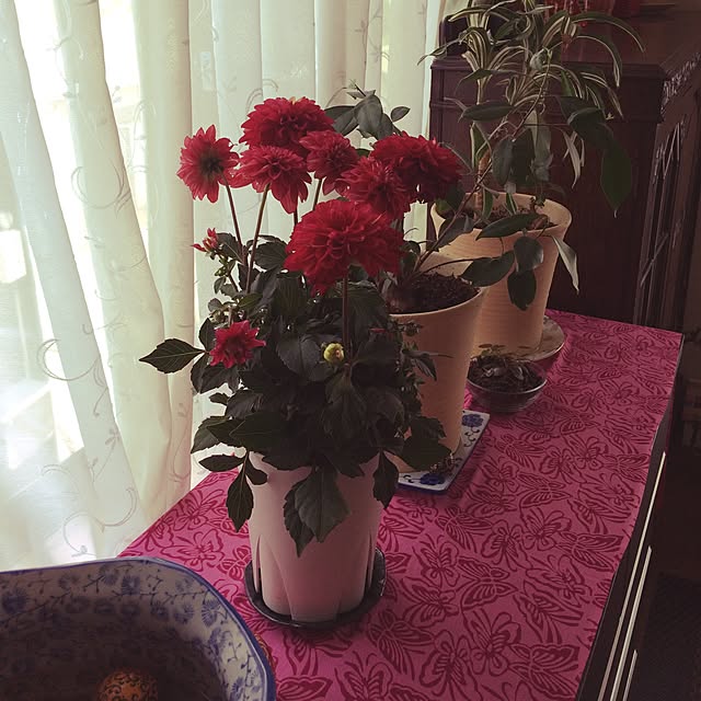 tomonon0812さんの実例写真