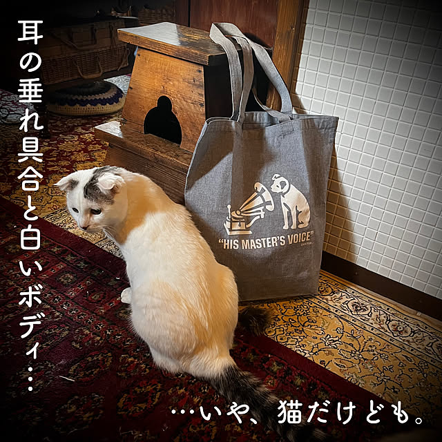 壁/天井/レトロ/古道具/古家具/marusan流...などのインテリア実例 - 2023-12-02 16:01:20