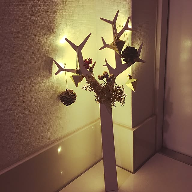 sa_su_さんの実例写真
