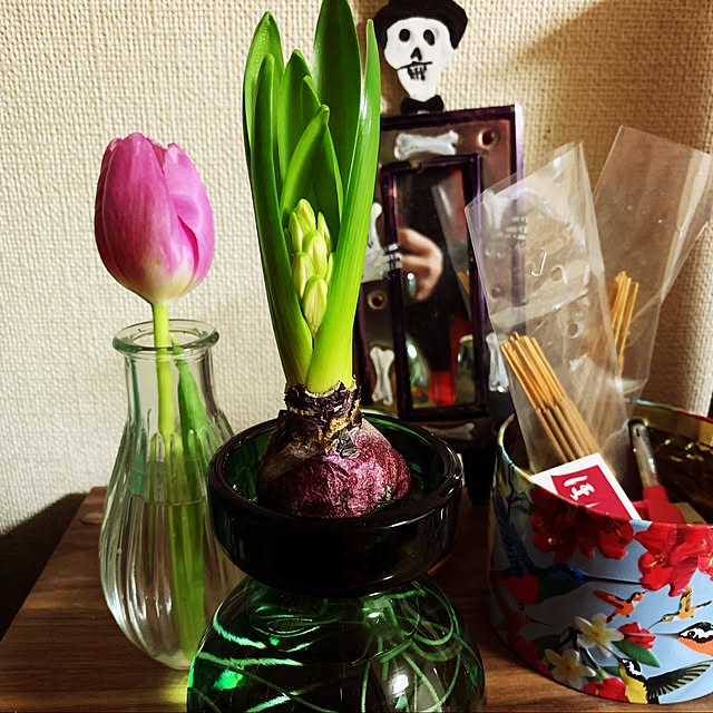 helmet_obake_chanさんの実例写真