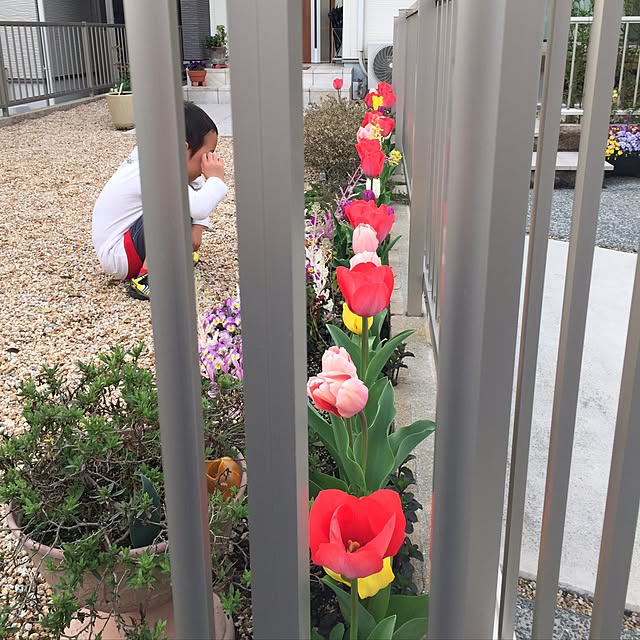 Tonさんの実例写真