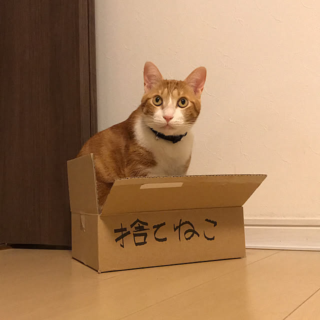 kimilkさんの実例写真