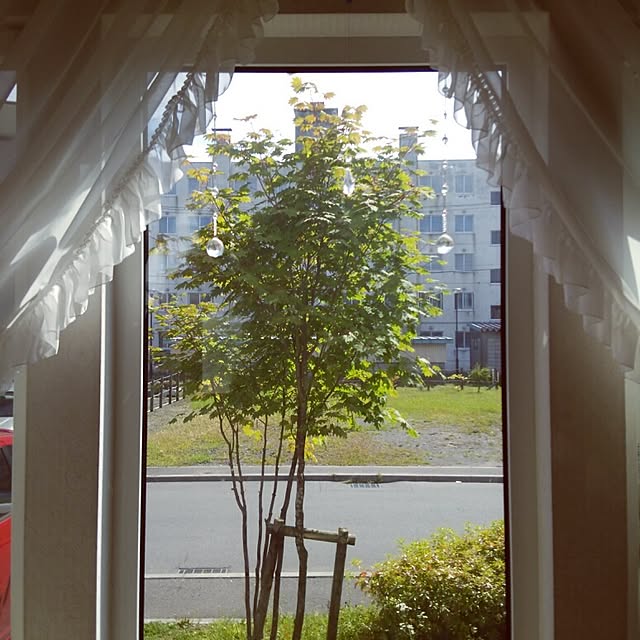 yukkoさんの実例写真