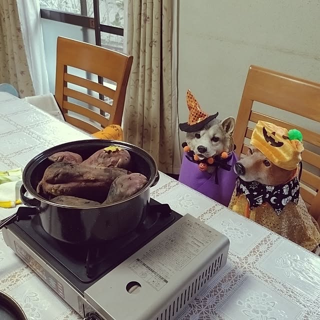NOAHさんの実例写真
