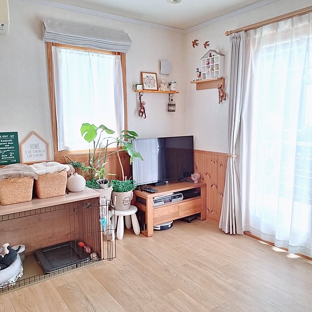 Blancheさんの部屋