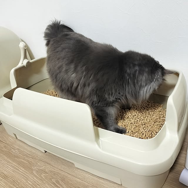 asukaさんの部屋
