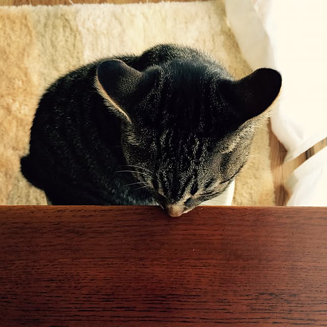 maruさんの実例写真