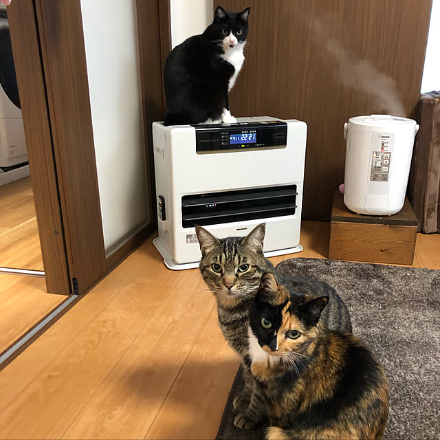 muuuuuさんの実例写真