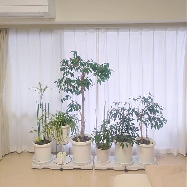love1017さんの部屋
