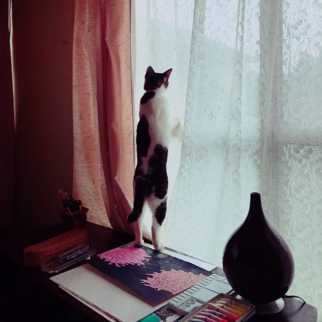 Shihoさんの実例写真