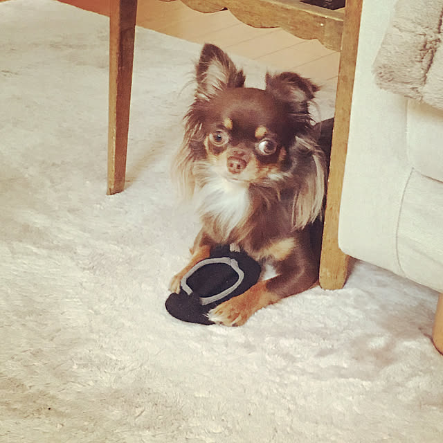 cookie_houseさんの実例写真