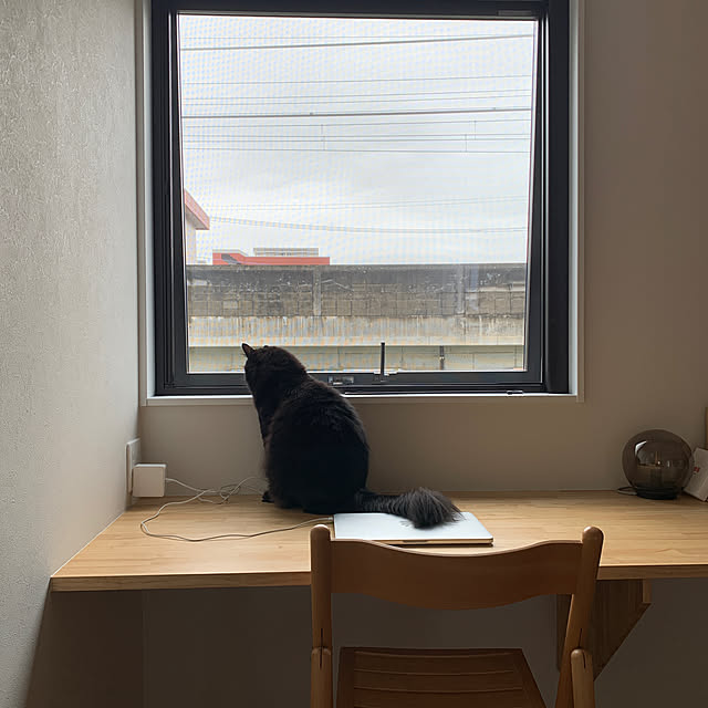 Mameさんの実例写真