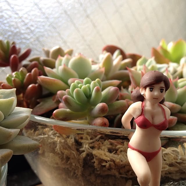 zonekoさんの実例写真