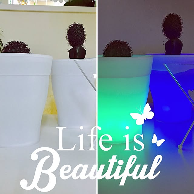 Mopmamaさんの実例写真