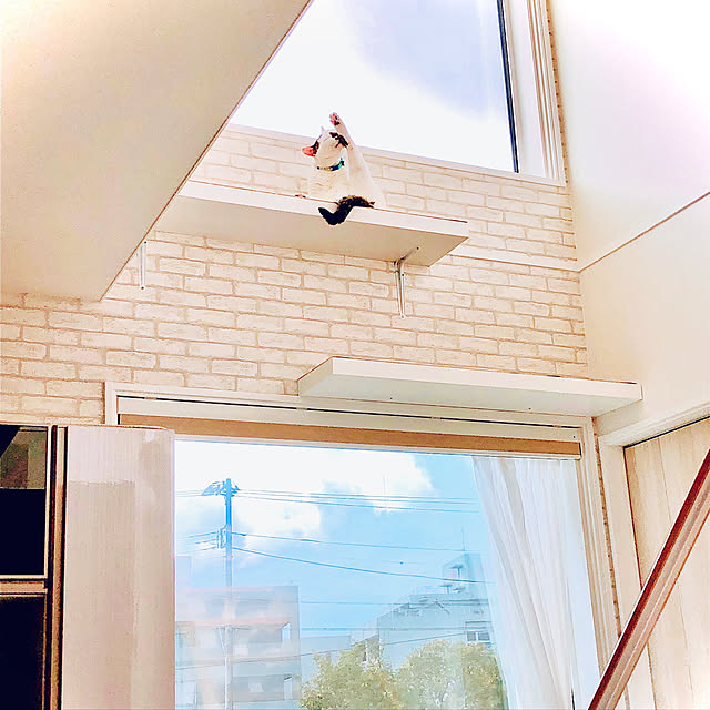 emimi.pottamさんの実例写真