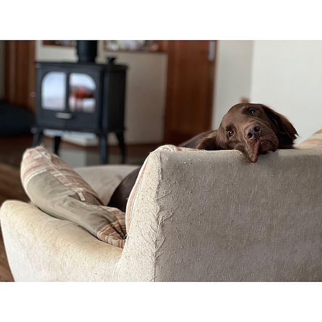 Kikko.さんの部屋