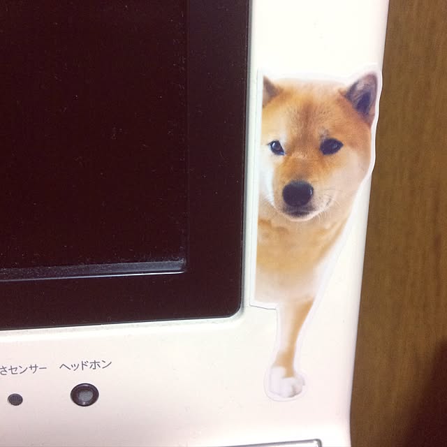 kyonky119さんの実例写真