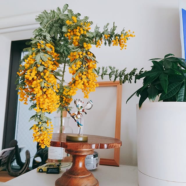 Mutsukiさんの実例写真