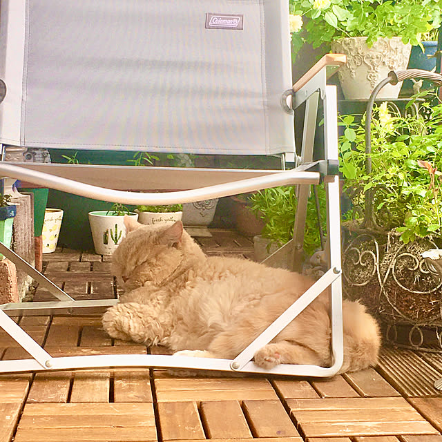 naokoさんの部屋