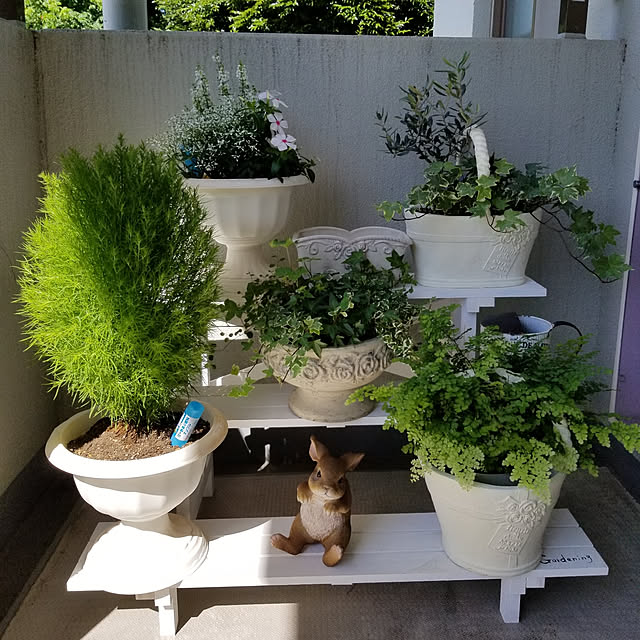 mido.82さんの実例写真